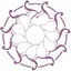 Signature Collective 6.0.700
