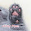 Kitty Paws +HOME 1.0.0