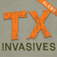 Texas Invaders 1.3.1