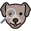 Identify Dog Breeds 45