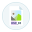 DSC Auto Rename 6.0.10