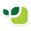 Вивус 113.0