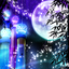 七夕の夜 for +HOMEきせかえテーマ 1.6