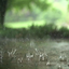 Real Rain Live Wallpaper 3.7