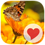 650 Photos 1.0.1