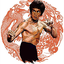 Martial Arts - Advanced Techni 2.5