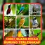 1200+ Suara Kicau Burung MP3 v56.0