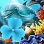 Sea Fish Theme GO Launcher 4.3