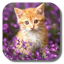 Double Cat Live Wallpaper 1.3