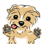 Archie the Yorkie 1.2