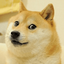 Dog Memes WAsticker 1.3