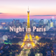 Beautiful Theme-Night in Paris 1.0.0