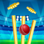 World Real IPL Cricket Games 0.10