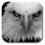Eagle Live Wallpaper 1.4.0