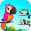 Bird Sort Color: Budgie Puzzle 1.4