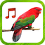 Bird Sounds Ringtones 3.24
