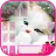 Live Cute Kitty Keyboard Theme 6.0.1116_7