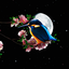 Sakura and Bird Live Wallpaper 1.0.8