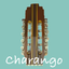Charango Chillador Tuner 1.1