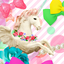 Candy March Wallpaper 2.0.0