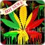 Reggae Wallpaper 1.0