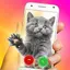 Nifty Caller - Call Screen The 5.5