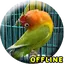 MP3 Lovebird Paud Offline 2.0.0
