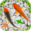 Garden Fish Live Wallpapers 1.6