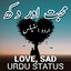 Love Sad Urdu Photo Status 1