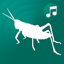 ringtones crickets for phone 1.30