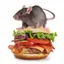 Burger Rats 1.0