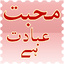 Poetry Mohabbat Ibadat Hai 4.0