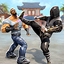 Kung Fu Karate Boxing Game 0.6