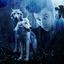 Wild Animals in Photo 7.3.5