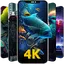 Wallpaper Hub:4k HD Background 1.0.3
