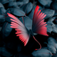 Butterfly Wallpapers 4.0.butterfly