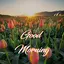 Good Morning & Flowers - Image 1.0.5