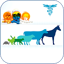 Bulário Veterinário 1.0.6