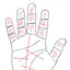 Hastrekha Jyotish 3.1.3