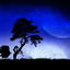 Star Sky 1