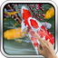 Interactive Koi Fish 3D 11.0
