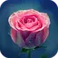 AppLock Theme Pink Rose 1.0.2
