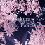 Theme-Sakura Night Fantasy- 1.0.0