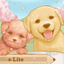 Dog's Life Calendar 狗狗‧生活日誌 2.3