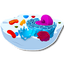 Molecular biology 1.0.44.205