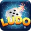 Ludo Classic King 2.0.1