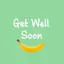 GWS: Health & Diet Pocket Book 7.7