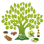 Ref Guide for Medicinal Plants & Ayurvedic Herbs Free 1.0
