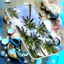 Tropical Exotic Live Wallpaper 6.10.16