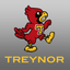Treynor CSD 2.1.1